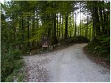 Stara Fužina - Planina Zgornja Grintovica